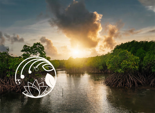 Mangroves' Importance in Stemming the Tide