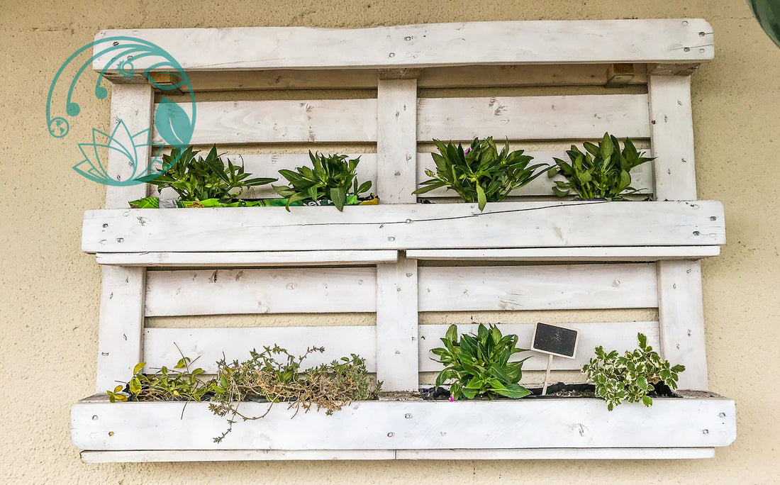 DIY Planters: Encouraging Sustainability Through Upcycling