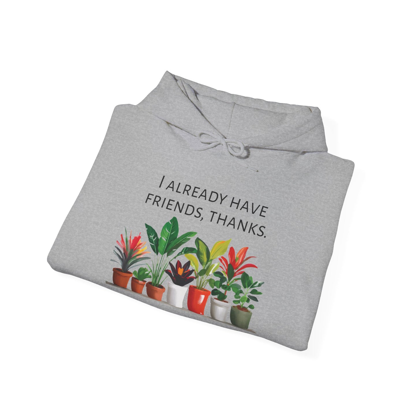 I already have friends, thanks - Houseplants Unisex Heavy Blend™ Hooded Sweatshirt